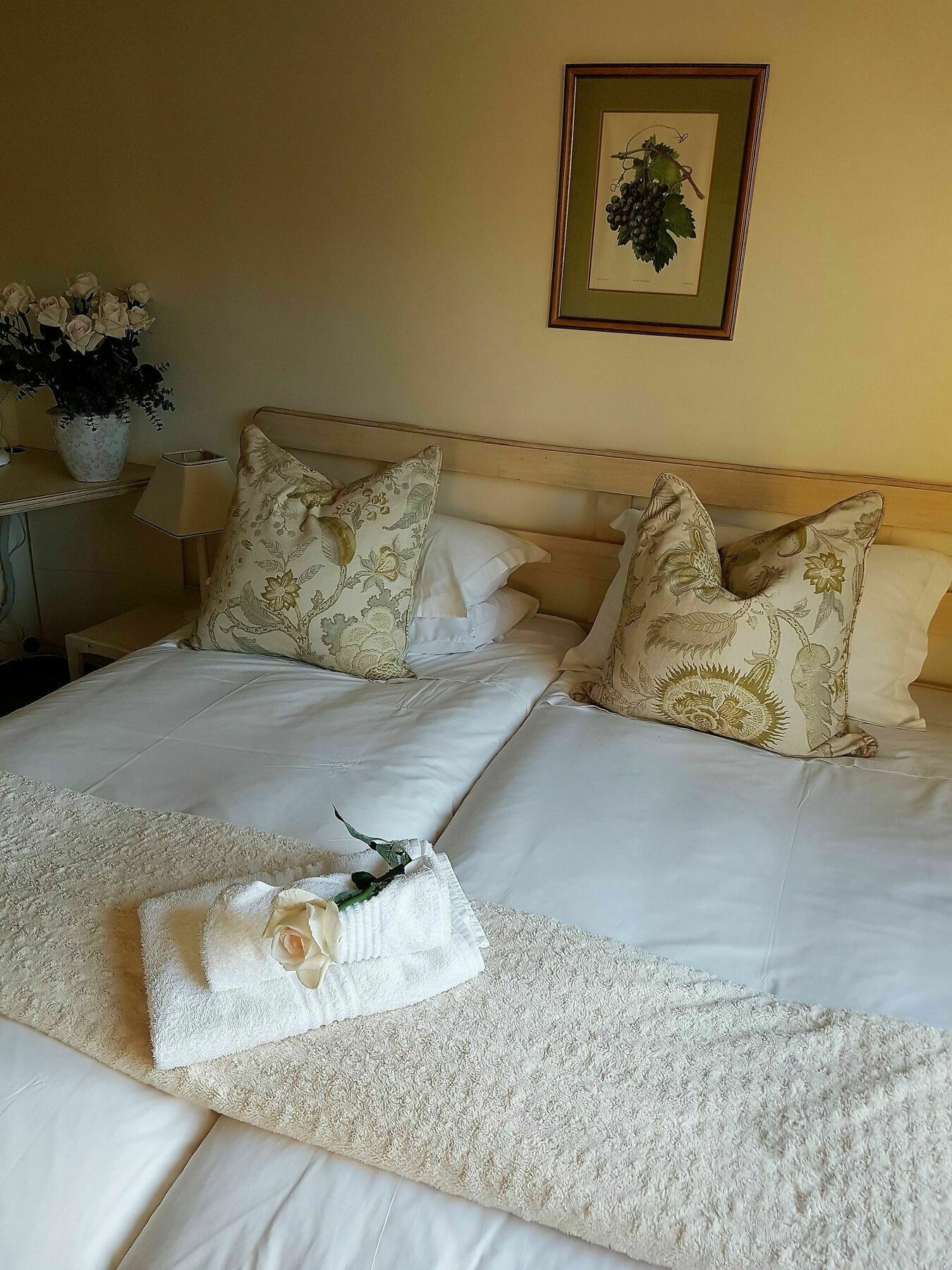 Valley Heights Guest House And B & B Ciudad del Cabo Exterior foto